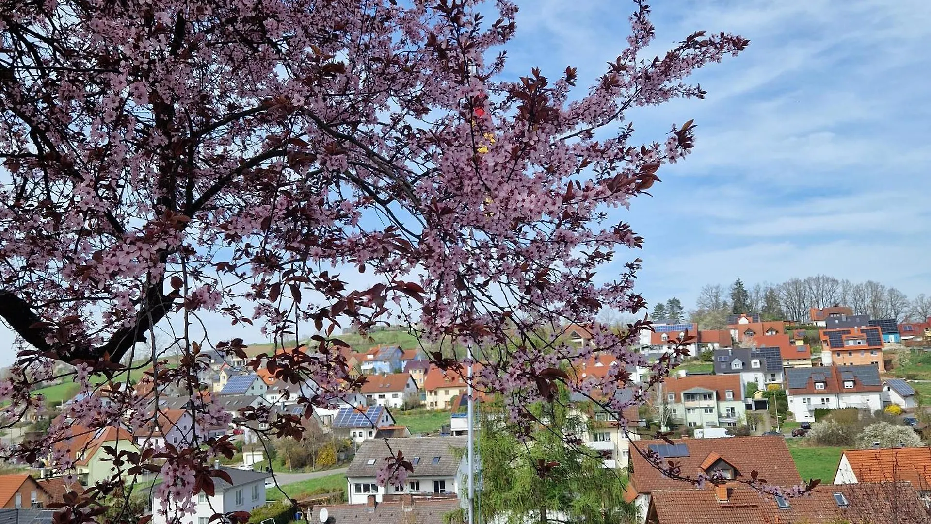 Apartment Ferienwohnung Wachter In Viereth Mit Tollem Ausblick Deutschland